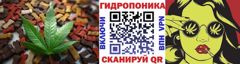 Canna-Cookies конопля  закладка  Кукмор 