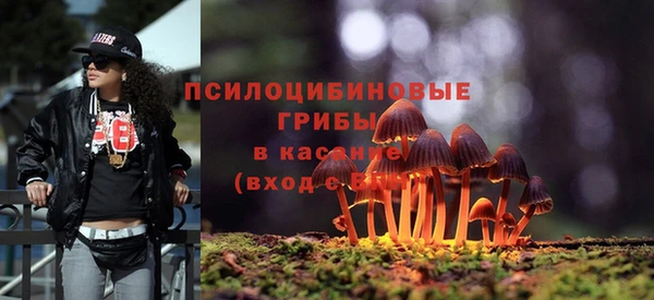 кокаин премиум Белокуриха